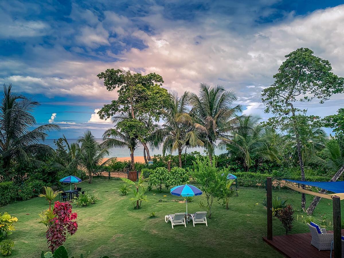 Oasis Bluff Beach Bocas del Toro Exterior photo