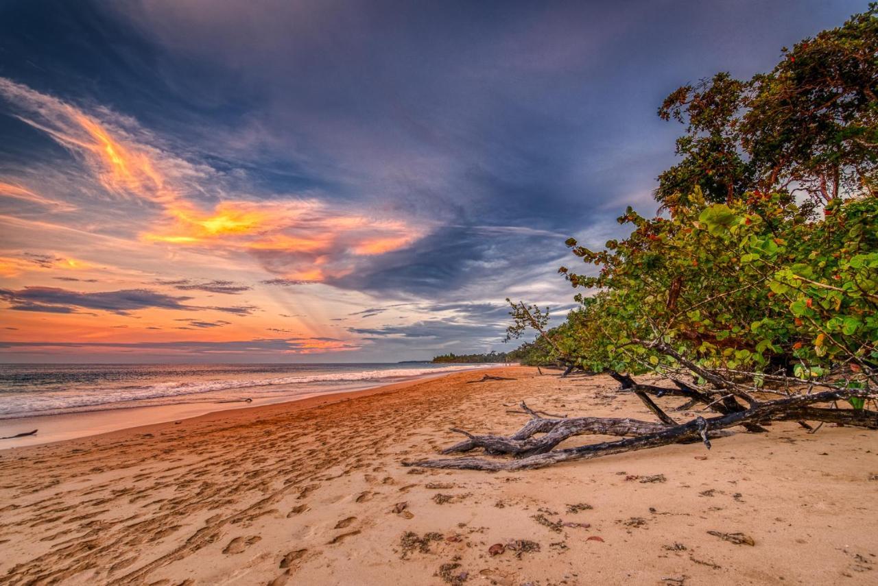 Oasis Bluff Beach Bocas del Toro Exterior photo