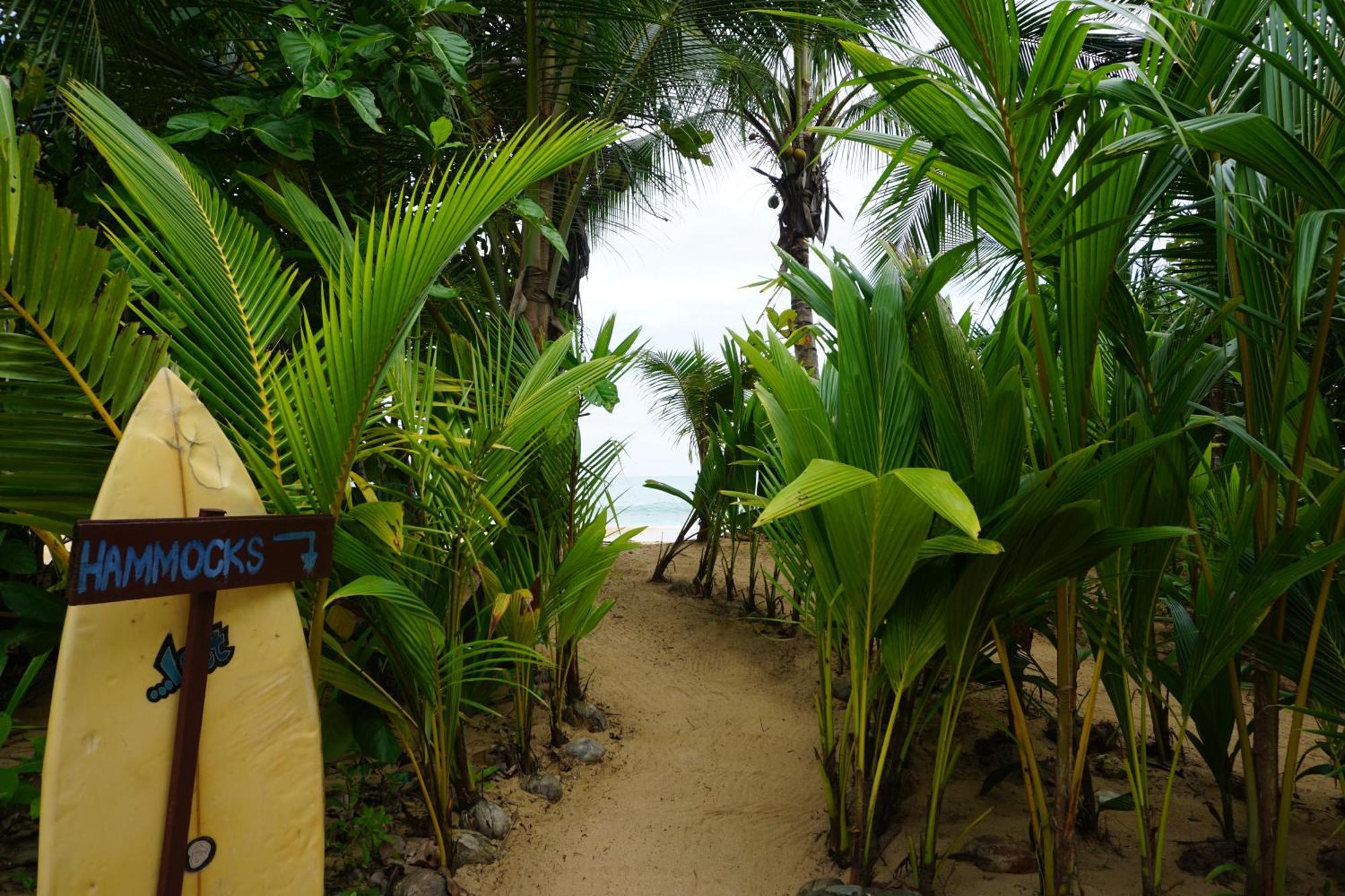 Oasis Bluff Beach Bocas del Toro Exterior photo