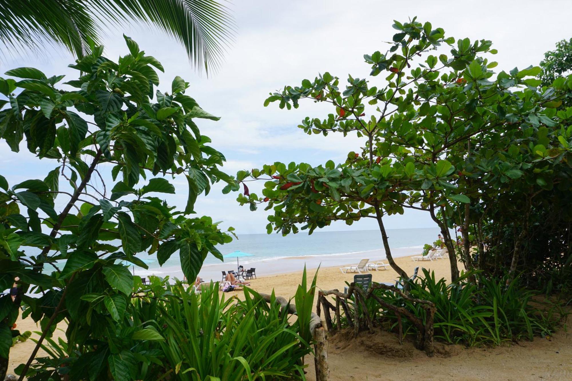 Oasis Bluff Beach Bocas del Toro Exterior photo