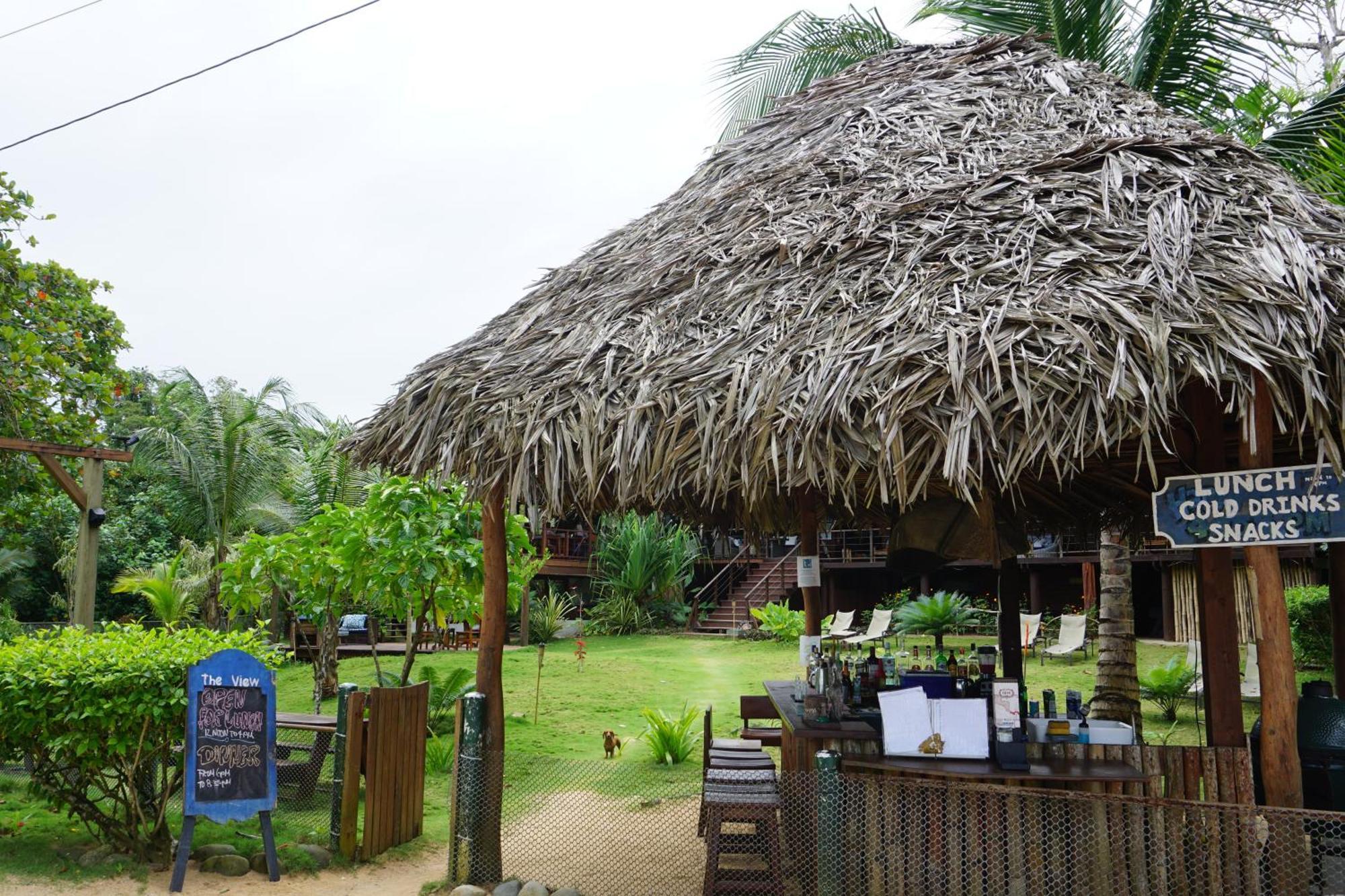Oasis Bluff Beach Bocas del Toro Exterior photo